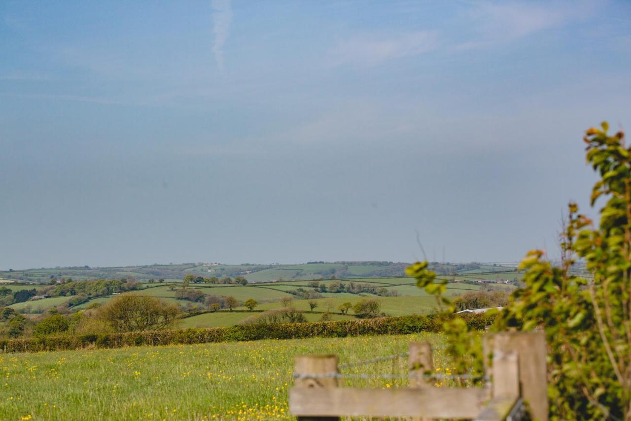 Maes Y Mel- A Couples, Pet Friendly, Rural Romantic Getaway With Countryside Views Gellywen エクステリア 写真
