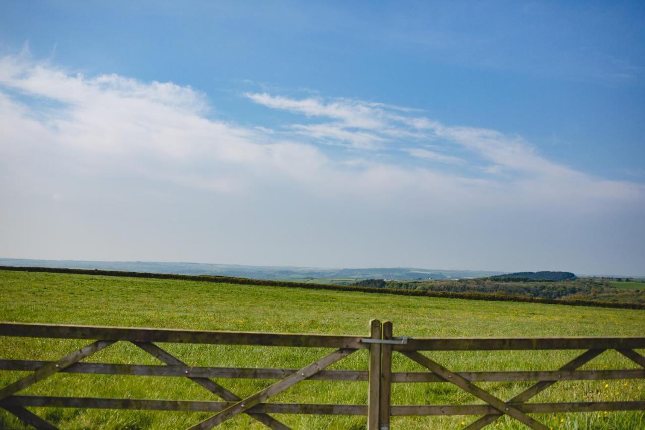 Maes Y Mel- A Couples, Pet Friendly, Rural Romantic Getaway With Countryside Views Gellywen エクステリア 写真